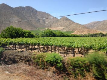 Ruta al Valle del Elqui: Vicuña y Pisco Elqui + La Serena de 2 a 3 días.