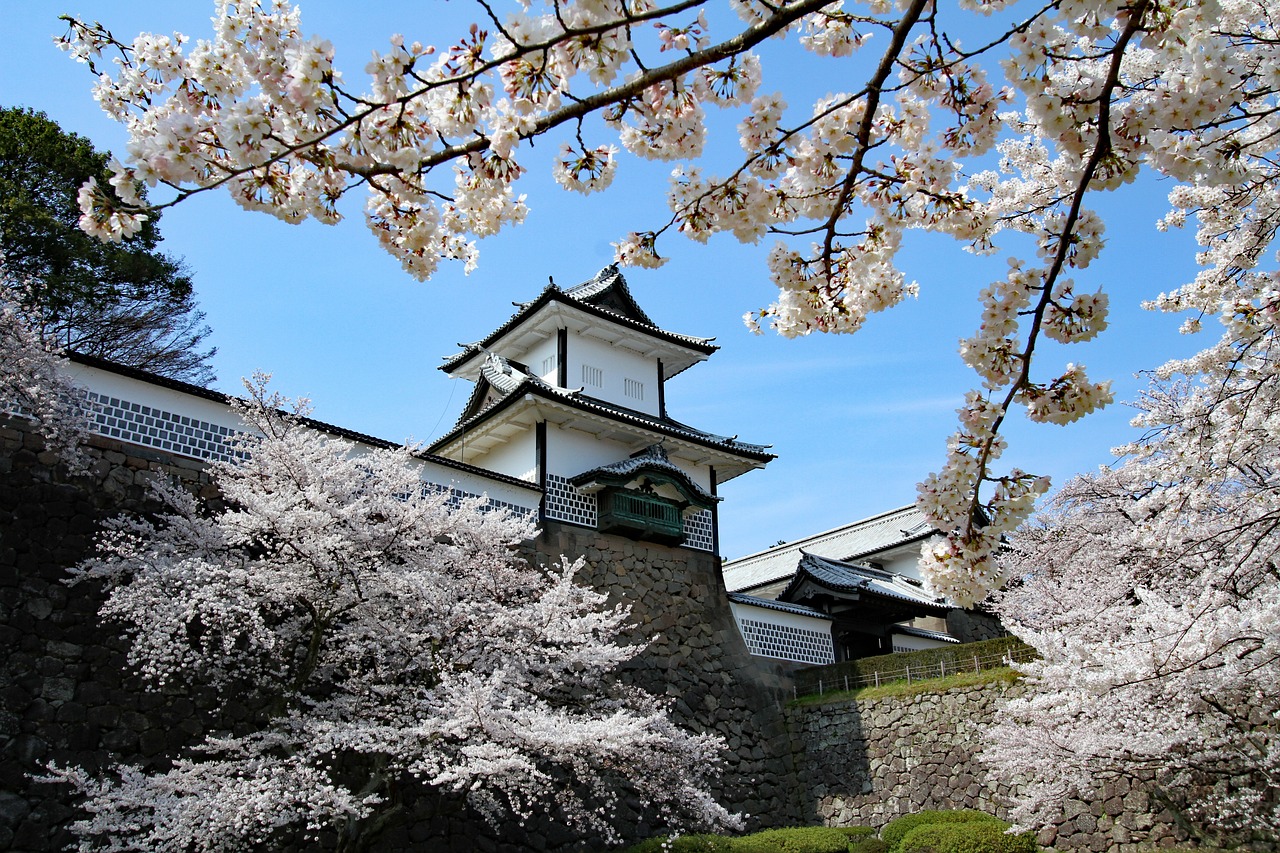 kanazawa castillo, sakura, japan