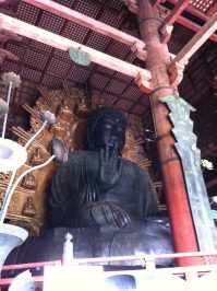 Qué ver en Nara, Japón en un día o más