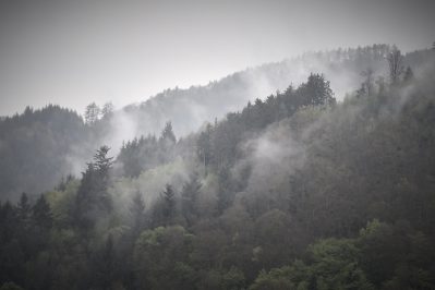 Una ruta por la selva negra y Alsacia