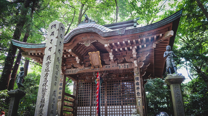 Hay templos y santuarios para visitar en el Monte Takao.