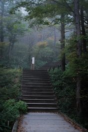 Qué hacer en Nikko: El Viaje de Fin de Semana Perfecto Desde Tokio