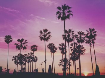 Lugares para visitar en Miami gratis