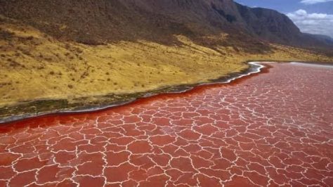 El Lago Natron en Tanzania: Belleza Mortal y Refugio de Flamencos