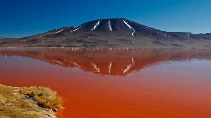 El Lago Natron en Tanzania