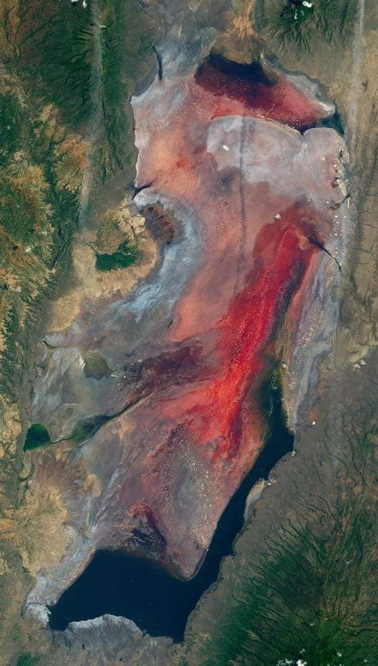 El Lago Natron en Tanzania