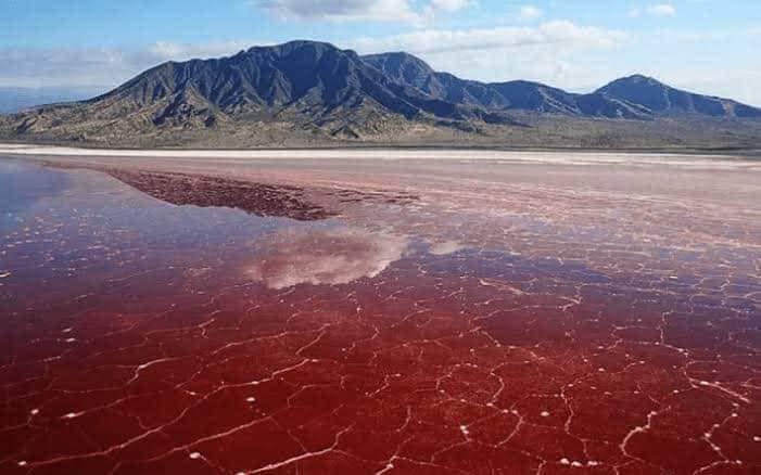 El Lago Natron en Tanzania