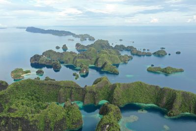 Cómo organizar tu viaje a las Raja Ampat Islands Indonesia: Guía completa