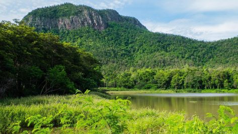 5 Lugares qué ver en el norte de Tailandia